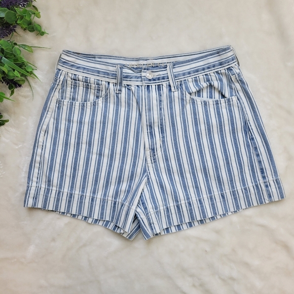 American Eagle High Waist Blue Stripe Mom Shorts size 6 - Picture 2 of 9